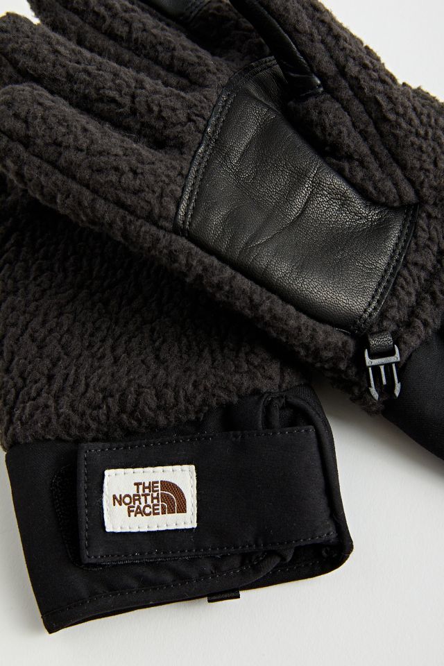 The North Face Cragmont Fleece Glove #1
