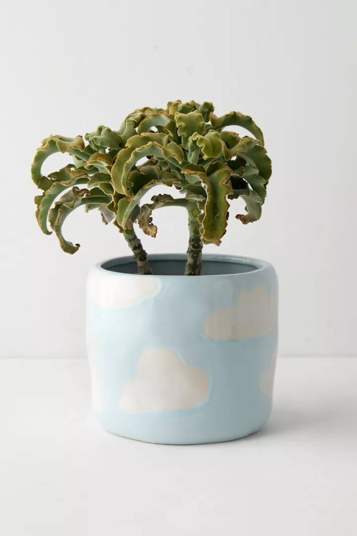 urbanoutfitters.com | Cloud Planter