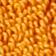 Orange Multi