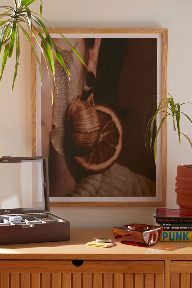 Hallie Kern Snail Art Print Urban Outfitters