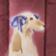 Fancy Dogs