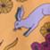Wild Rabbit