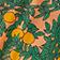 Orange Tree Coral
