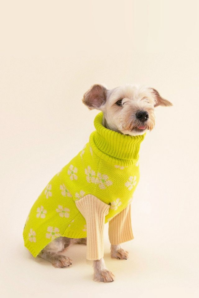 Little Beast Flower Power Pet Sweater