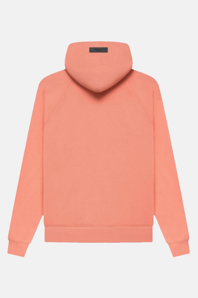 Fear of God Essentials Hoodie #1