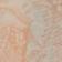 Peach Fuzz