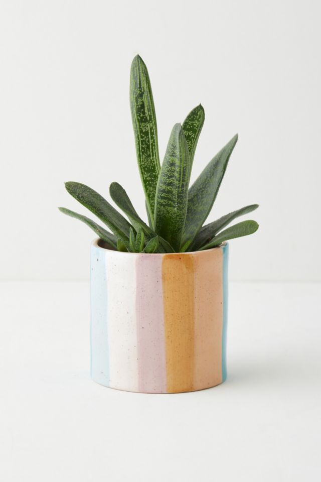 Elia Planter #2