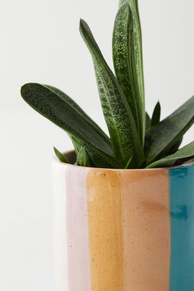 Elia Planter #3