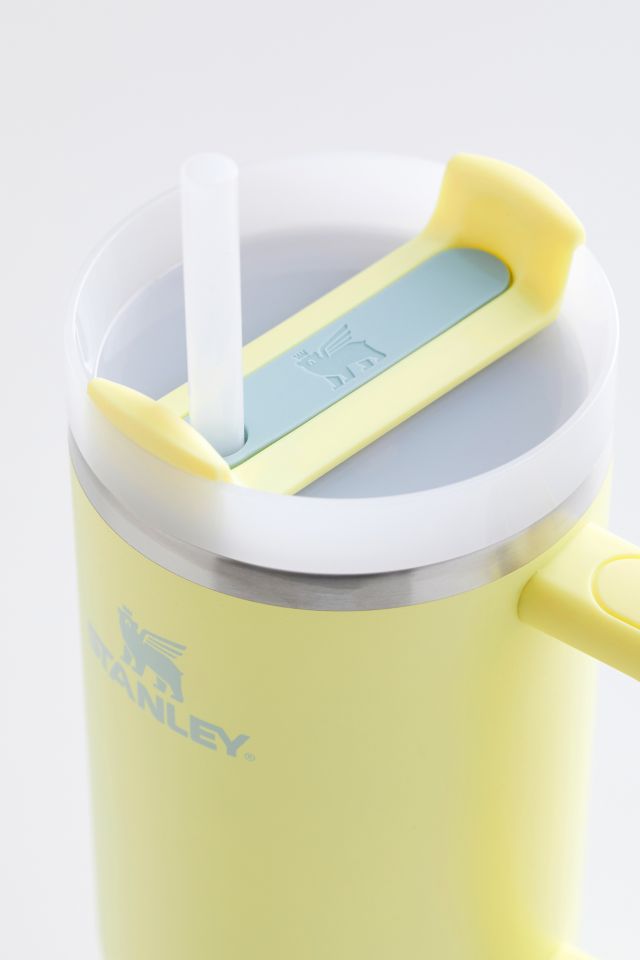Pomelo Yellow Insulated Stainless Steel Travel Tumbler with Handle and Straw