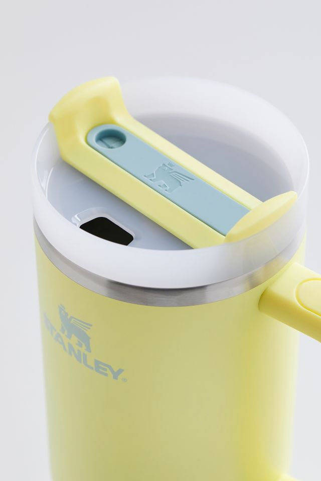 Pomelo Yellow Insulated Stainless Steel Travel Tumbler with Handle and Straw
