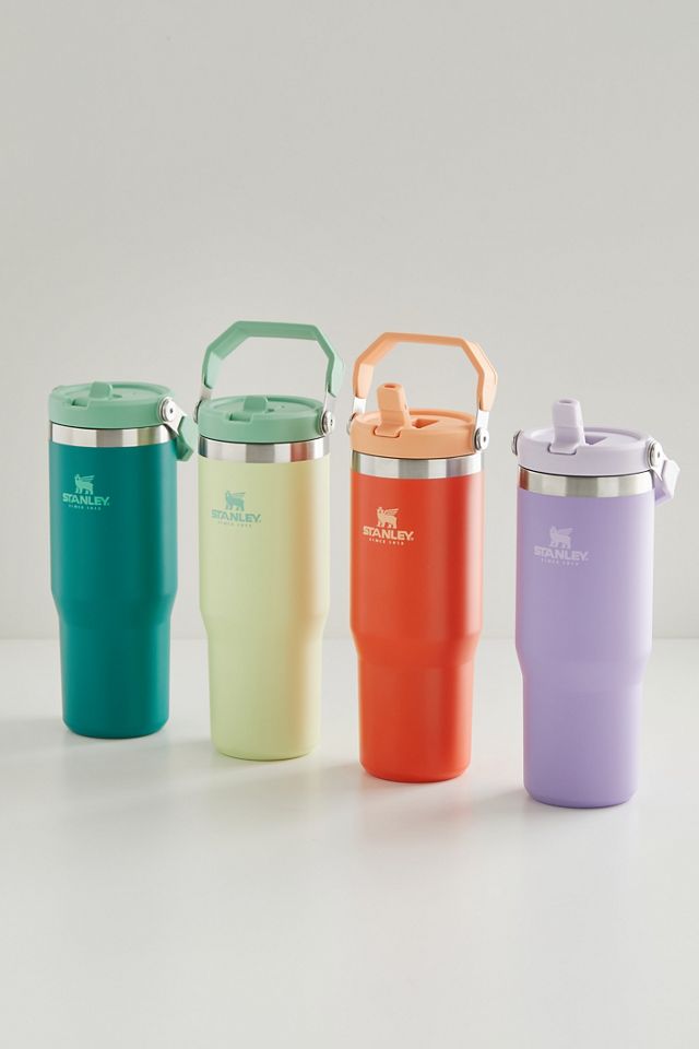 Stanley 2.0 FlowState 30 oz Tumbler Urban Outfitters