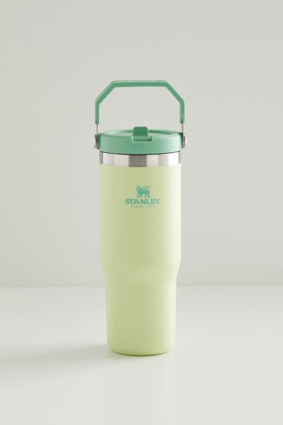 Stanley Quencher 2.0 Flowstate 30 oz Tumbler In Lime