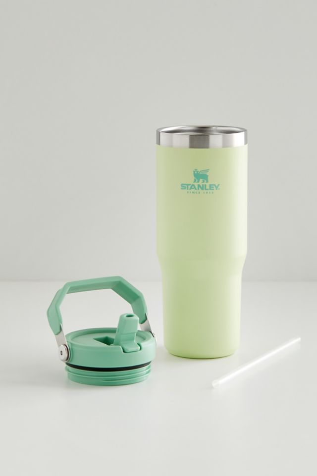 Urban Outfitters Stanley 2.0 Flip Straw 30 oz Tumbler