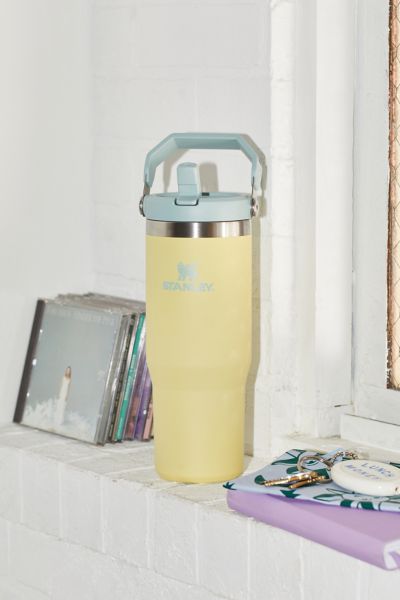 Stanley 2.0 Flip Straw 30 oz Tumbler In Pomelo At Urban Outfitters