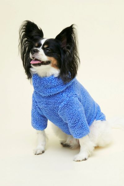 Dog Clothes & Apparel by Little Beast