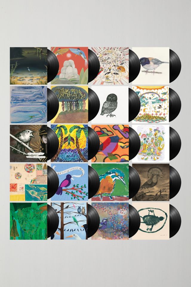 The Bird Song Project - For The Birds: The Birdsong Project 20XLP