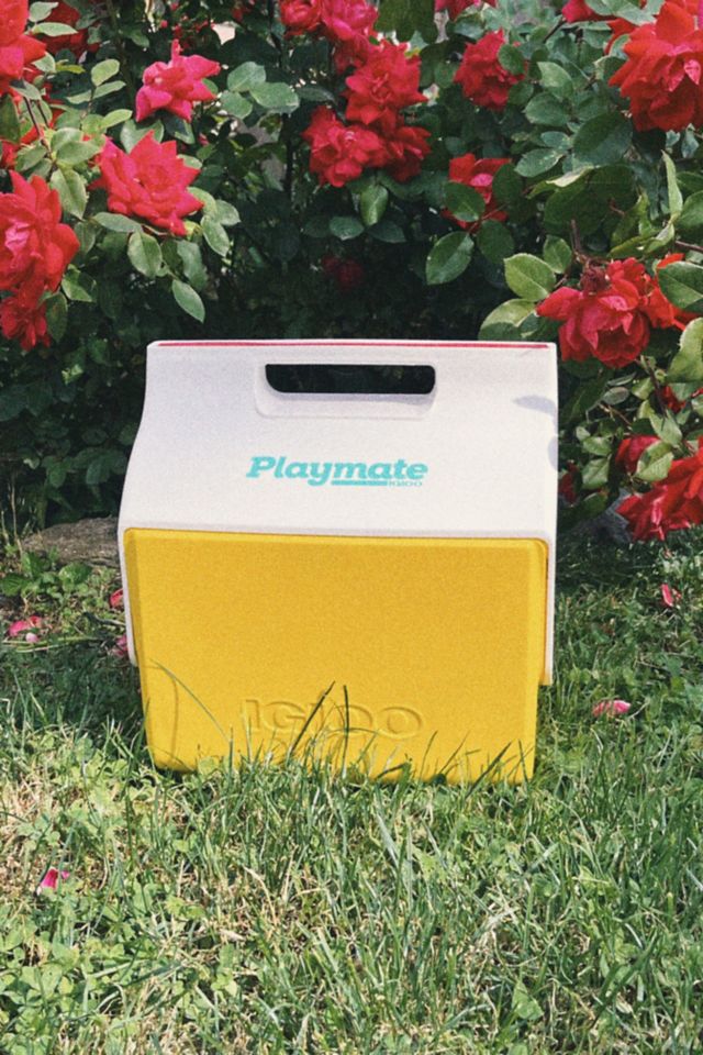 Vintage best sale playmate cooler