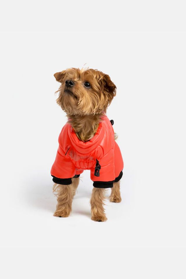 Dog full body clearance snowsuit