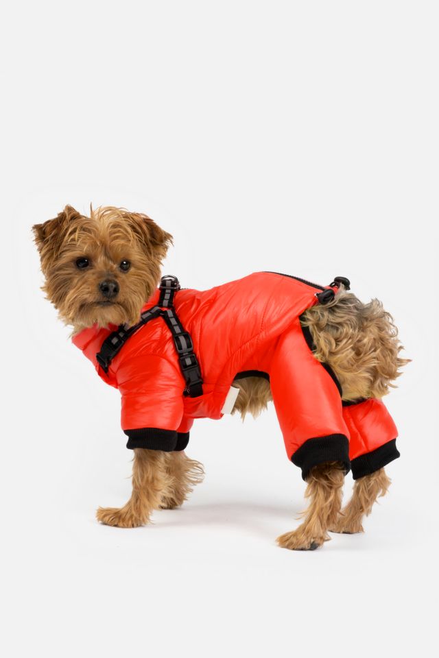 Silver Paw Whistler Full Body Dog Snowsuit | Urban Outfitters