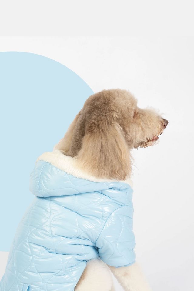 Silver Paw Dog Hooded Puffer Jacket #3
