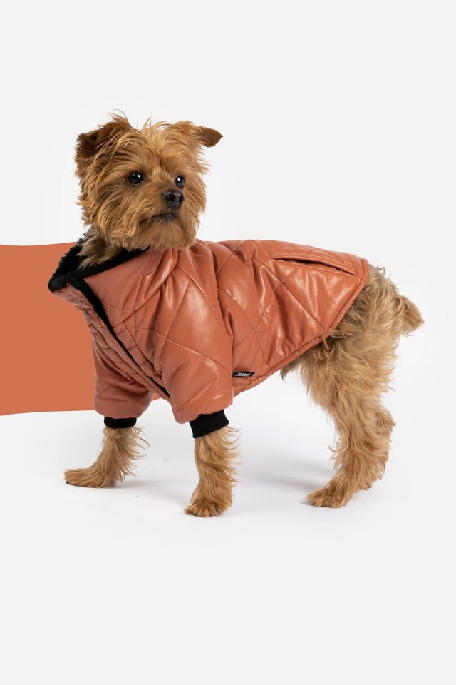 Silver Paw Phoenix Dog Quilted Puffer Jacket #2