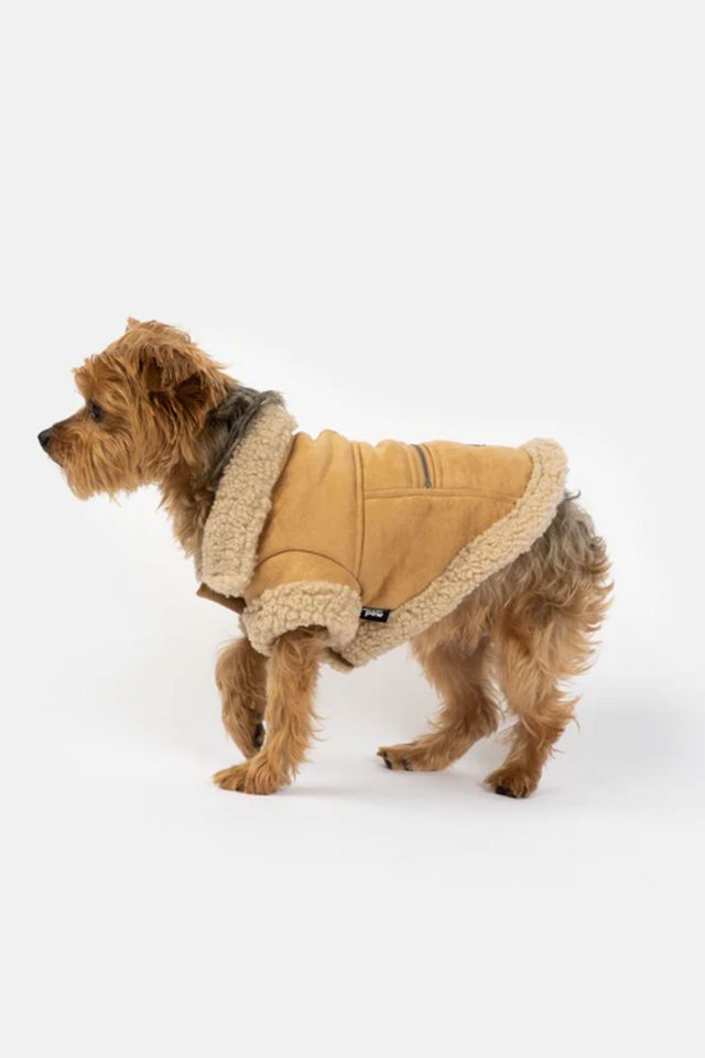 Silver Paw Millie Suede Dog Jacket