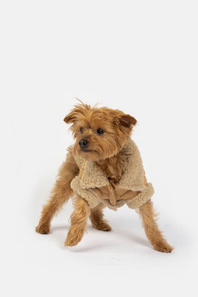 Silver Paw Millie Suede Dog Jacket #3