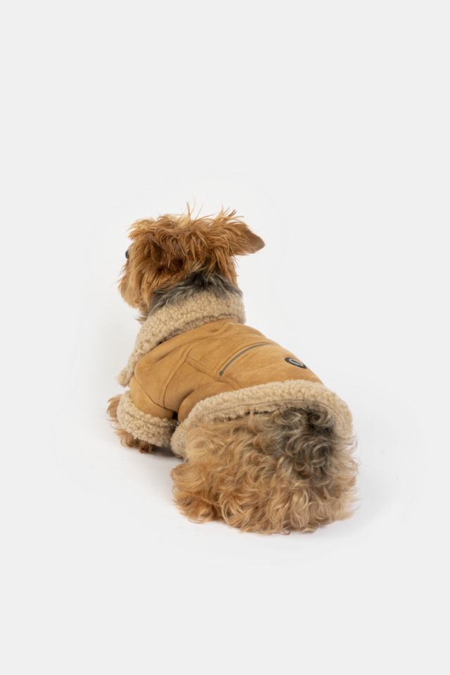 Silver Paw Millie Suede Dog Jacket #4