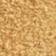 Latte Cream