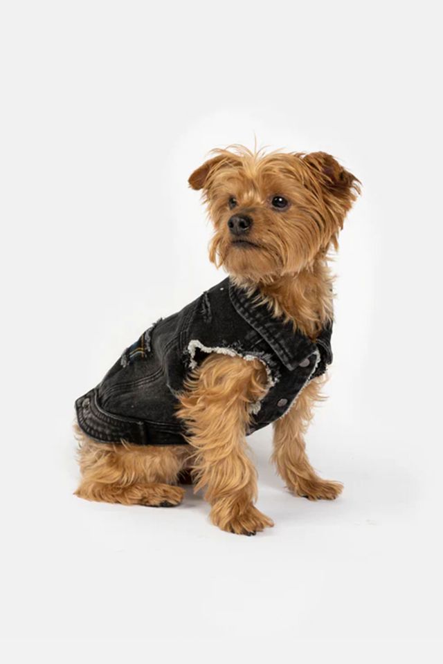 Silver Paw Spencer Denim Dog Jacket | Urban Outfitters