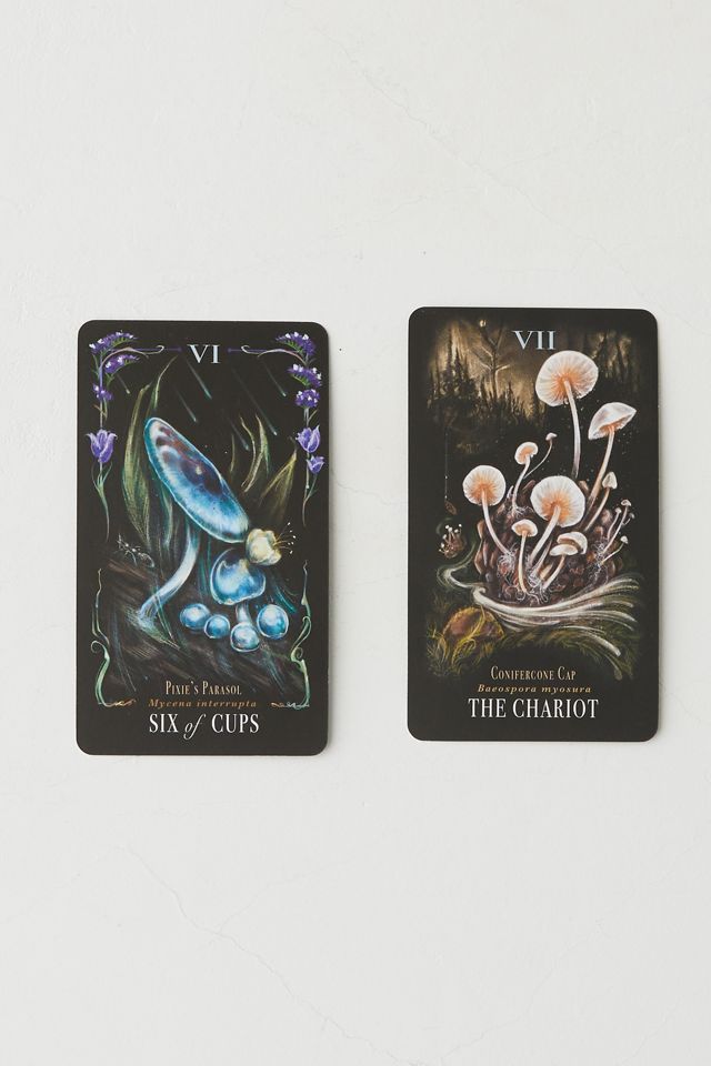 Midnight Magic: A Tarot Deck Of Mushrooms By Sara Richard #2