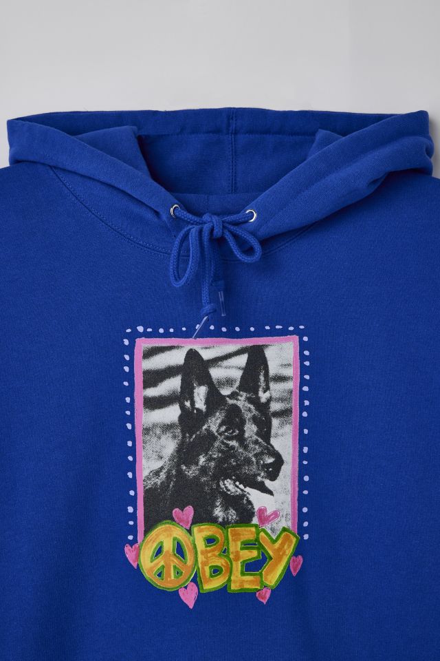 Urban outfitters friends online hoodie