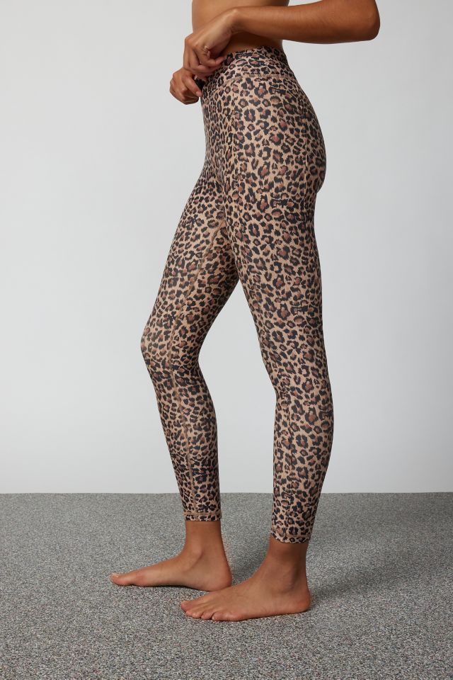 Leopard Sheer Tight  Urban Outfitters Singapore