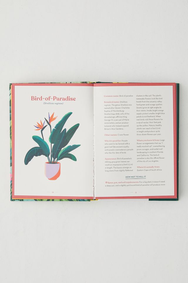 The Green Dumb Guide To Houseplants: 45 Unfussy Plants That Are Easy To Grow And Hard To Kill par Holly Theisen-Jones #2