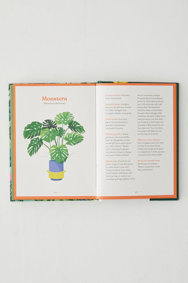 The Green Dumb Guide To Houseplants: 45 Unfussy Plants That Are Easy To Grow And Hard To Kill par Holly Theisen-Jones #3
