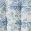 Blue Toile