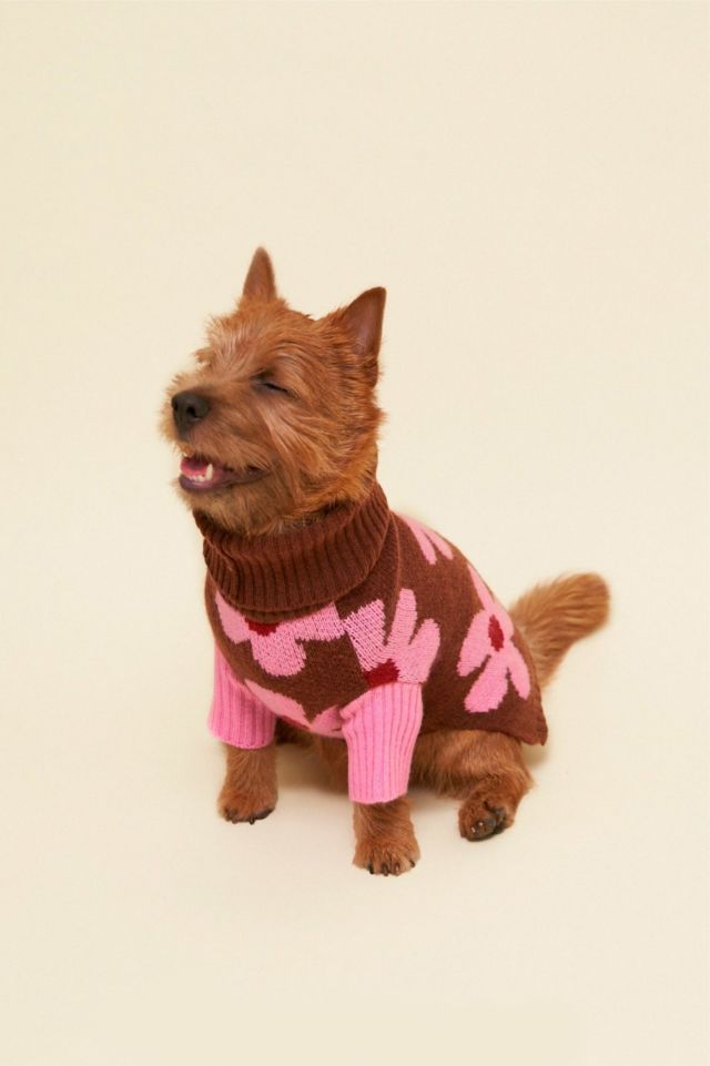 Little Beast Always Be Kind Floral Pet Sweater