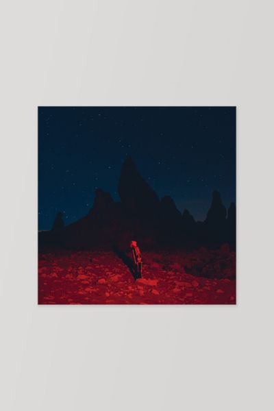 Phoebe Bridgers - Punisher LP | Urban Outfitters