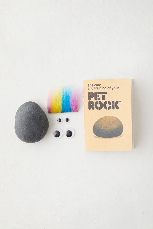 World's Smallest Pet Rock #1