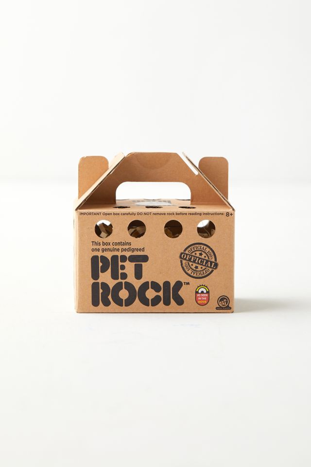 World's Smallest Pet Rock #2