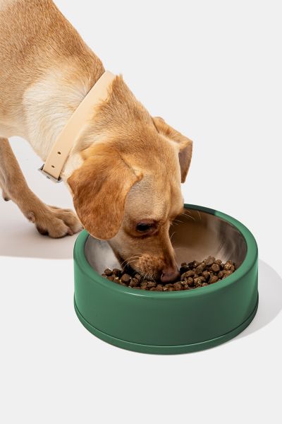 Wild One Stainless Steel Dog Bowl