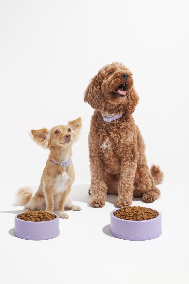 Wild One Stainless Steel Dog Bowl #2