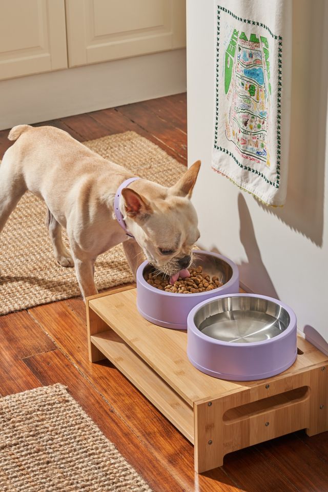 Wild One Stainless Steel Dog Bowl