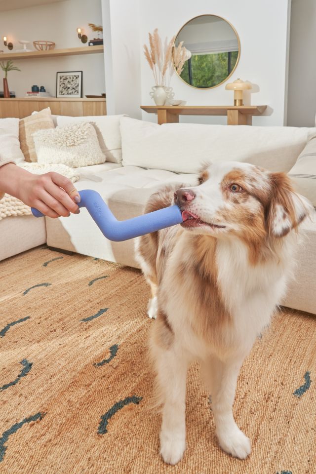 Wild One Bolt Bite Dog Toy in Moonstone at Urban Outfitters - Yahoo Shopping