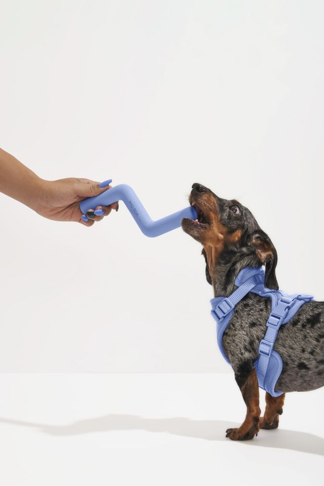  Wild One Dog Toy