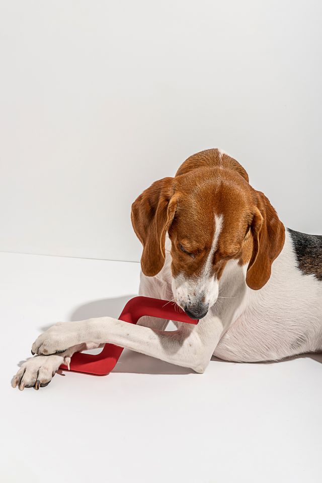 Wild One Bolt Bite Dog Toy