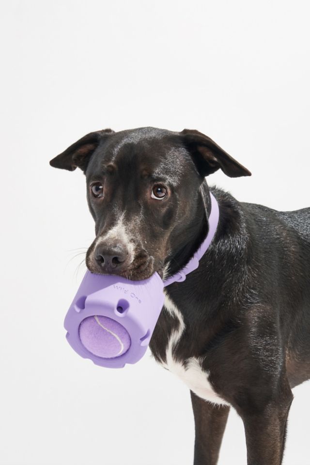 Wild One Tennis Tumble Interactive Dog Toy