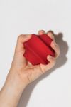 Wild One Twist Toss Dog Toy
