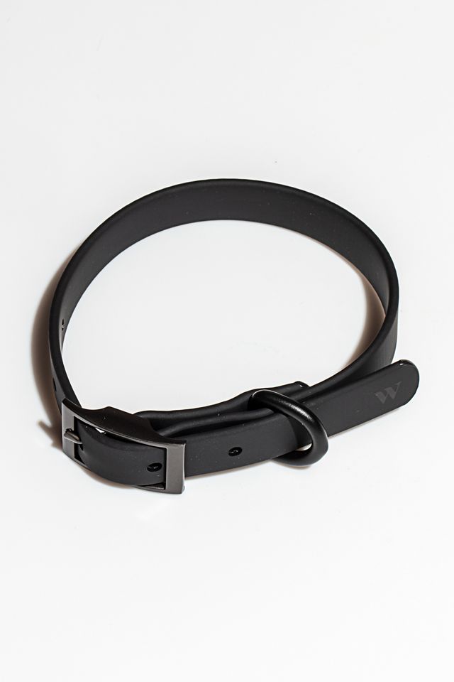 Wild One Dog Collar #1