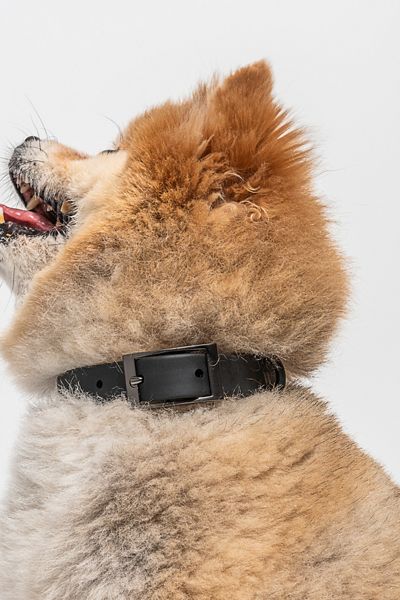 Wild One Recycled Knit Everyday Dog Carrier Tote | Urban Outfitters